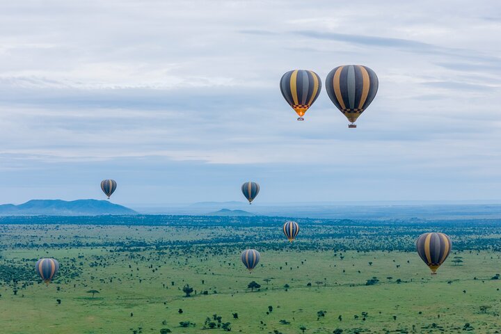 Safari en montgolfière et petit déjeuner dans le Serengeti - Miracle Experience