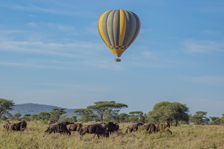 Safari en montgolfière et petit déjeuner dans le Serengeti - Miracle Experience