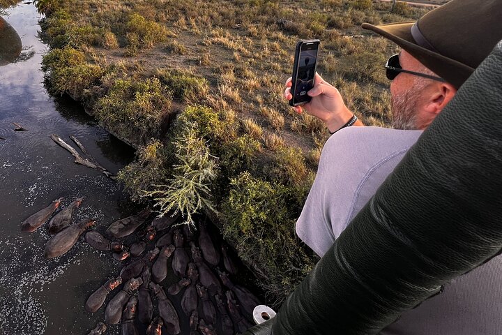 Safari en montgolfière et petit déjeuner dans le Serengeti - Miracle Experience