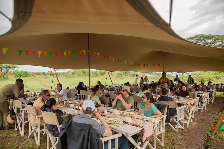 Safari en montgolfière et petit déjeuner dans le Serengeti - Miracle Experience
