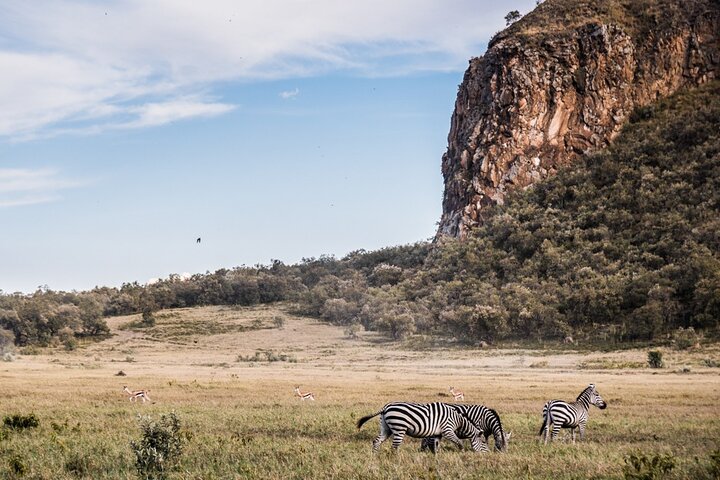 Dagstur till Hell's Gate National Park och Lake Naivasha