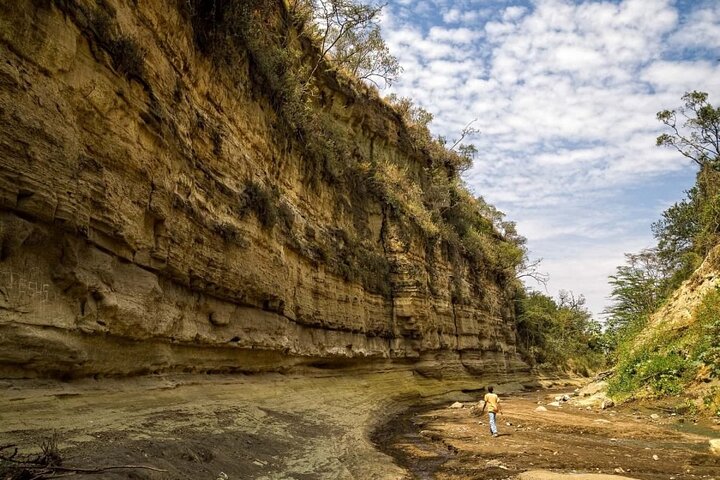 Dagstur till Hell's Gate National Park och Lake Naivasha
