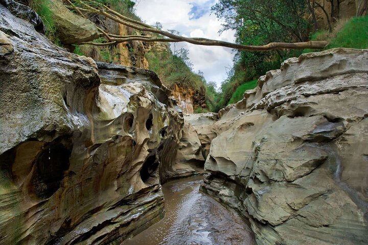 Dagstur till Hell's Gate National Park och Lake Naivasha