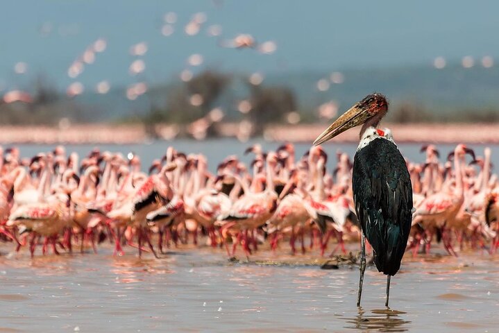 Dagstur till Hell's Gate National Park och Lake Naivasha