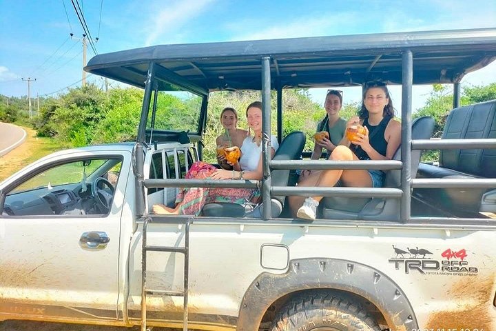 Excursões de Safari em Yala National Park a partir de Hambantota Port