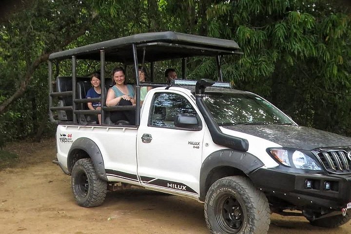 Excursões de Safari em Yala National Park a partir de Hambantota Port