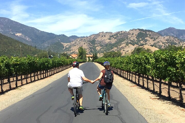 Tour guidato dell'healdsburg Wine Country Bike e degustazione di vini con pranzo