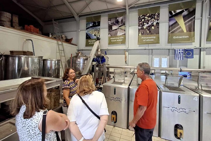 Cefalonia: Experiencia privada de cata de aceite de oliva, miel y vino