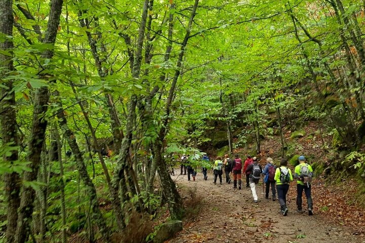 Guidad vandring i Serra da Estrela – Vildsvinsleden och berättelser