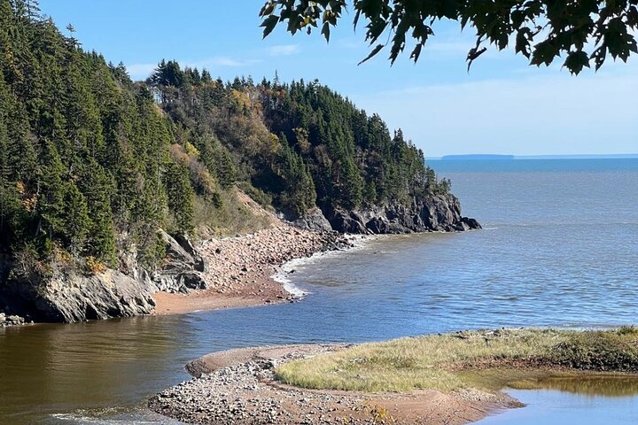 Saint John (NB) Bay of Fundy und Hopewell Rocks Private Tour