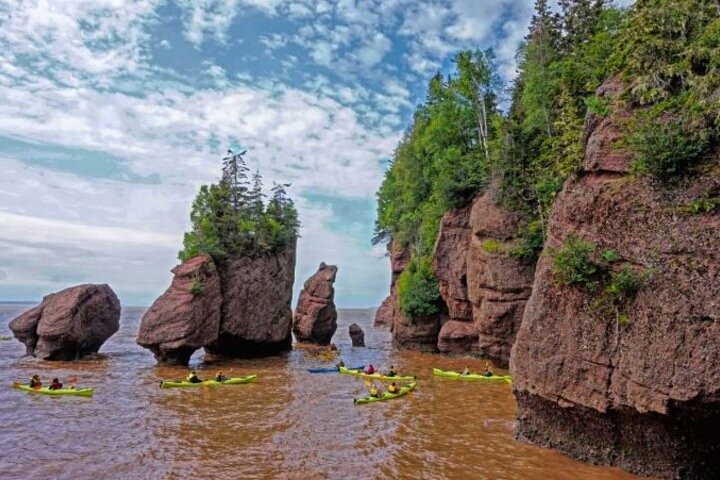 Saint John (NB) Bay of Fundy und Hopewell Rocks Private Tour