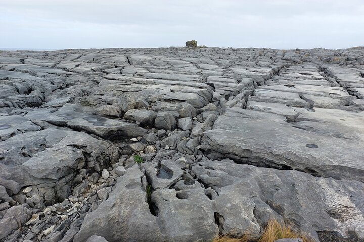 Falaises de Moher, Burren et Wild Atlantic Way de Dromoland