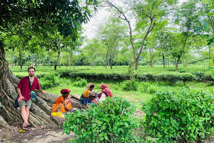 Charubala Homestay: 4-daagse Dorpsleven in Sylhet, Bangladesh