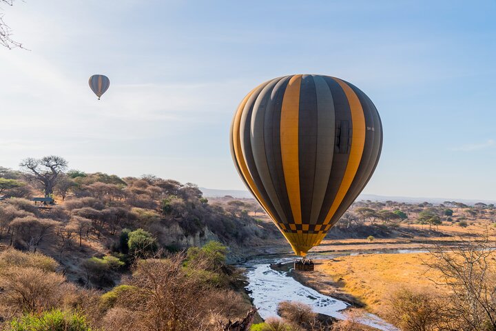 Balão Safari & Bush Café da manhã em Tarangire - experiência milagrosa