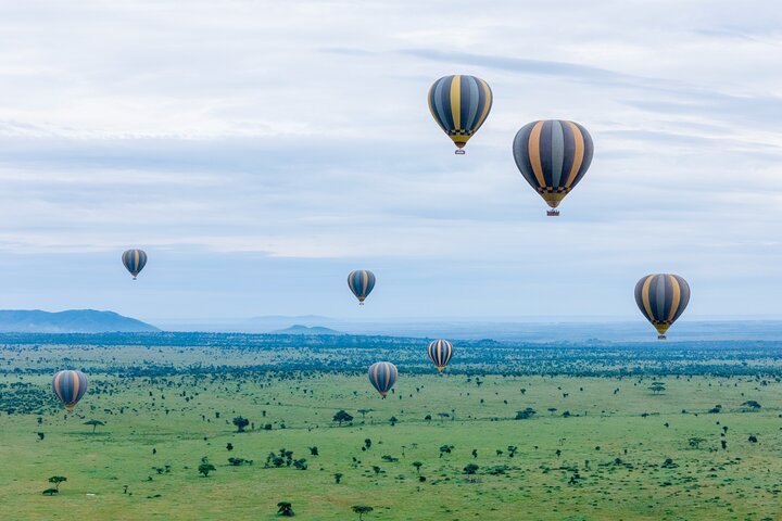 Balão Safari & Bush Café da manhã em Tarangire - experiência milagrosa