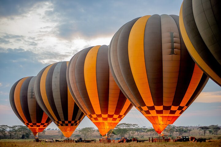 Balão Safari & Bush Café da manhã em Tarangire - experiência milagrosa