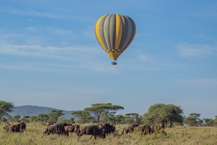 Balão Safari & Bush Café da manhã em Tarangire - experiência milagrosa