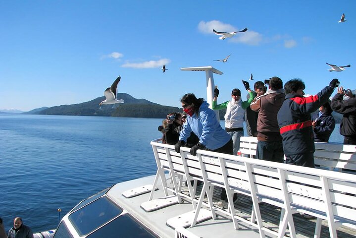 Utforsk Peulla Full Day Tour fra Puerto Montt