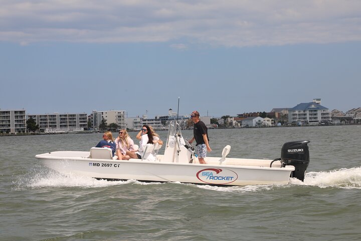 1 hora de festa privada Assateague Island Pony Cruise em Ocean City
