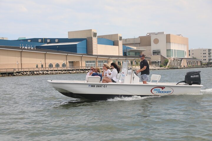 1 hora de festa privada Assateague Island Pony Cruise em Ocean City