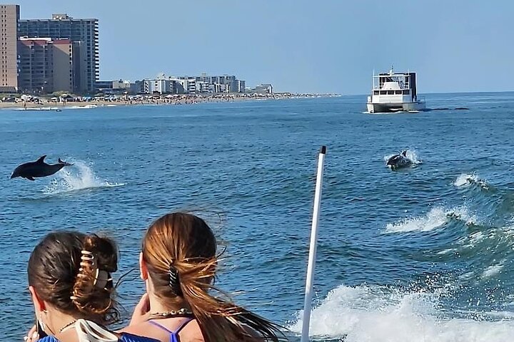 EARLY BIRD SPECIAL: Croisière en bateau rapide et dauphin à Ocean City, MD