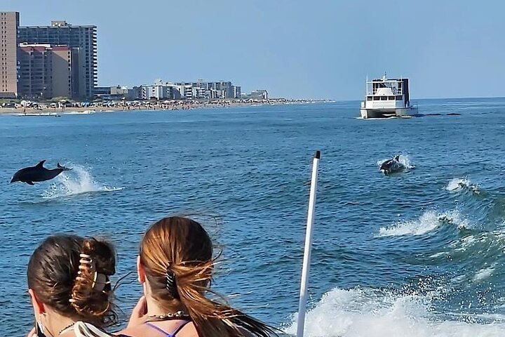 45-minütige Sea Rocket Speed Boat & Dolphin Cruise in Ocean City MD