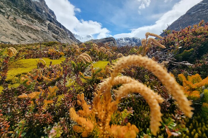 Alpine avontuur in Laguna Pollone en Electric Lake Valley
