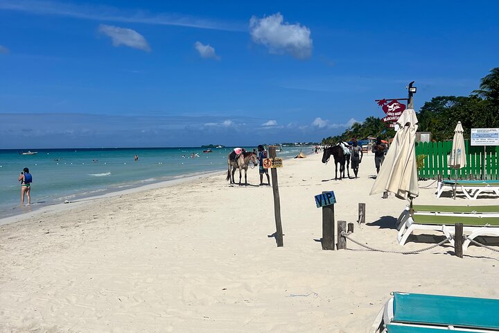 Tour Privado por Negril Seven Miles Beach & Rick's Café Jamaica