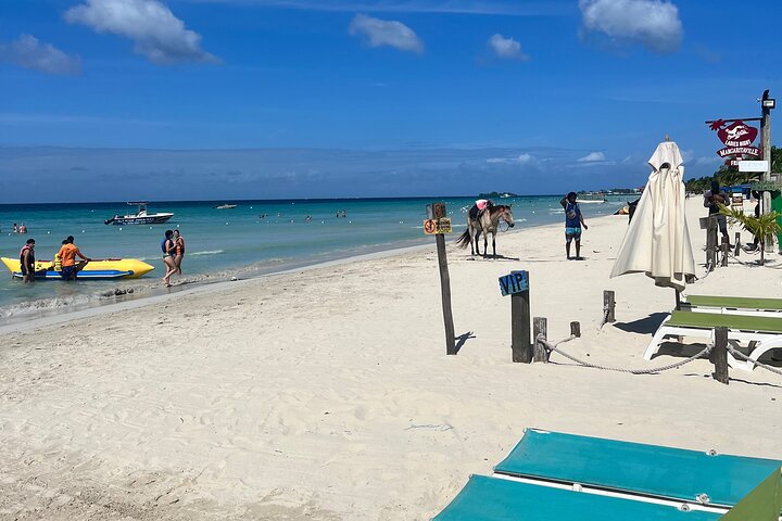 Tour Privado por Negril Seven Miles Beach & Rick's Café Jamaica