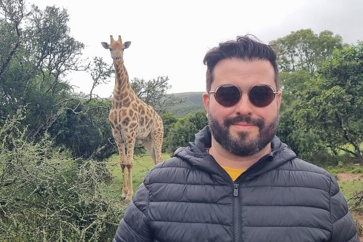 Réserve de chasse Schotia d'une journée et promenade des girafes (véhicule 4x4 ouvert)