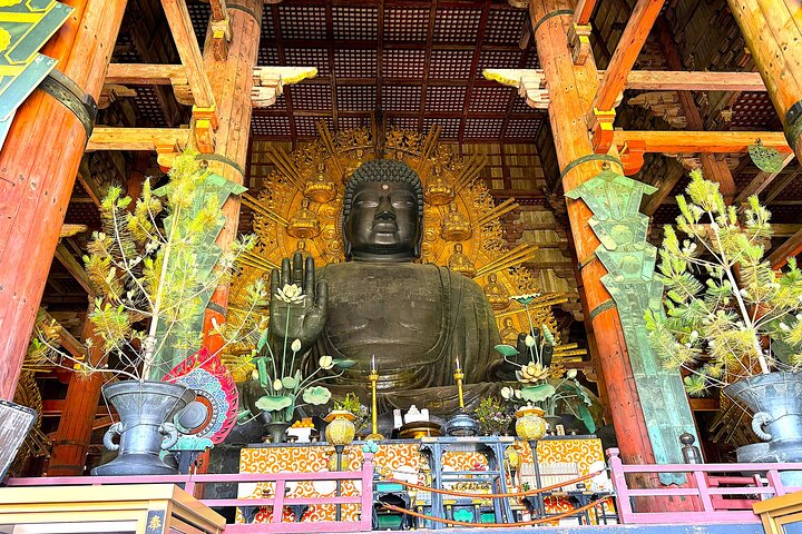 Nara: Excursão privada de meio dia por 4 pontos imperdíveis & Deer Park