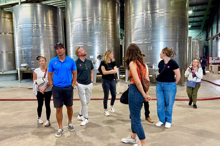Probieren Sie 10 Weinsorten in 3 exklusiven Weinbergen von Casablanca