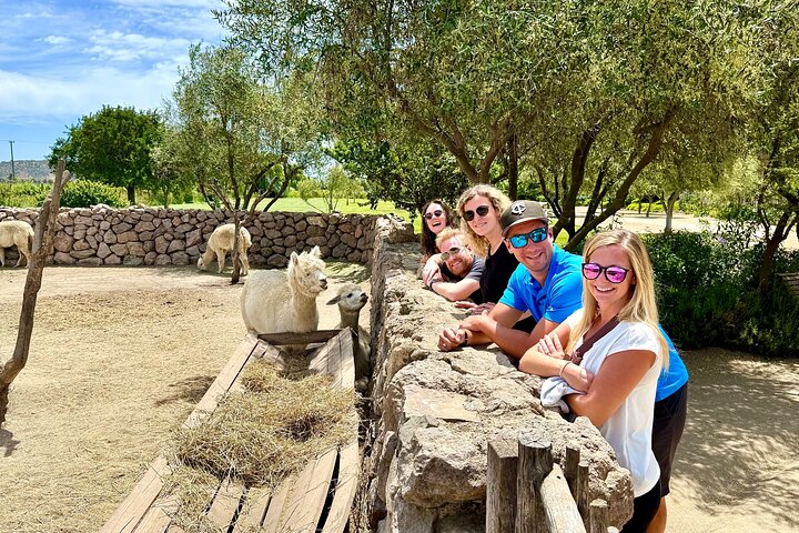 Probieren Sie 10 Weinsorten in 3 exklusiven Weinbergen von Casablanca