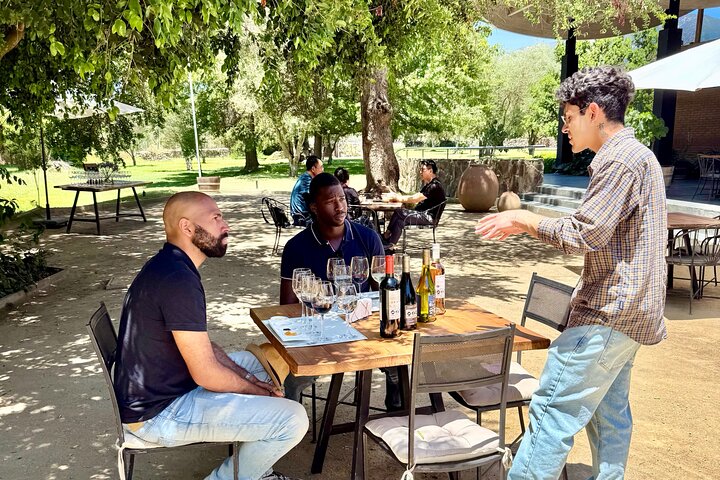 Probieren Sie 10 Weinsorten in 3 exklusiven Weinbergen von Casablanca