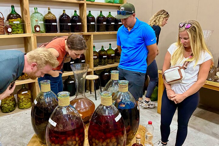 Probieren Sie 10 Weinsorten in 3 exklusiven Weinbergen von Casablanca