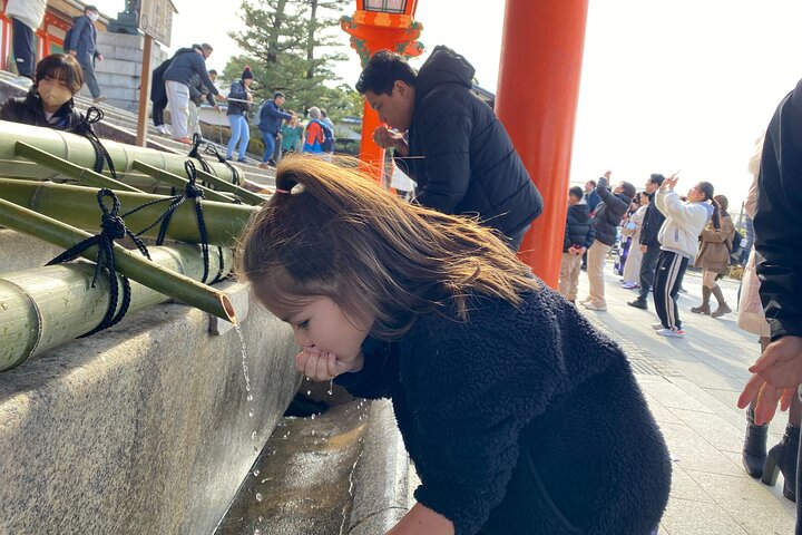 Kyoto in 1 giorno da Kobe : tour personalizzato, Guida autorizzata