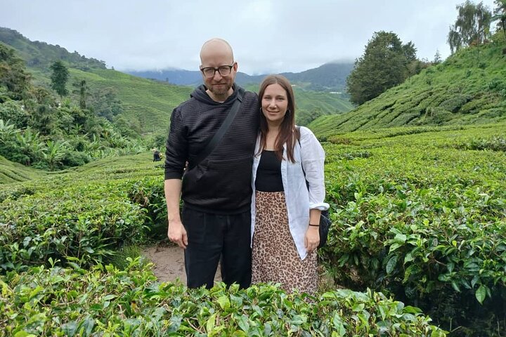 Cameron Highland Tour privato di un giorno da Ipoh