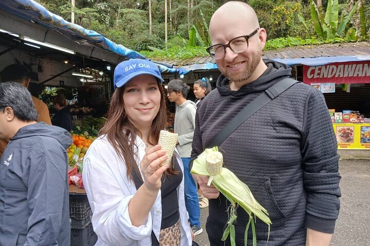 Cameron Highland Tour privato di un giorno da Ipoh