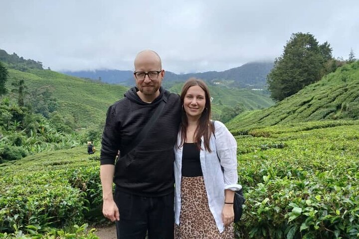 Cameron Highland Tour privato di un giorno da Ipoh