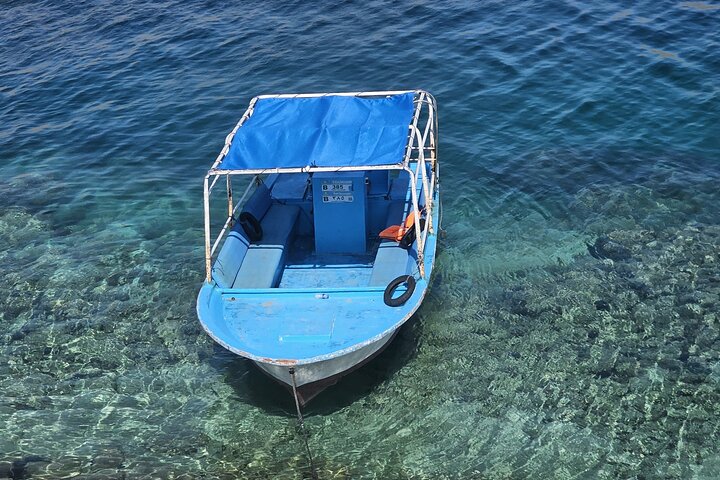 Volledige dag Dhow: Khasab, Musandam: dolfijnen, snorkelen en fjorden