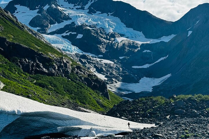 Trasferimento in crociera Whittier con tour Wildlife&Glacier ad Anchorage