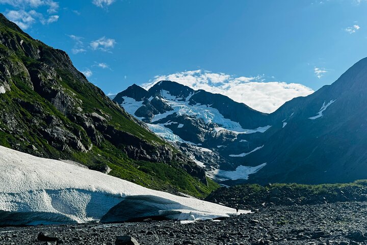 Trasferimento in crociera Whittier con tour Wildlife&Glacier ad Anchorage