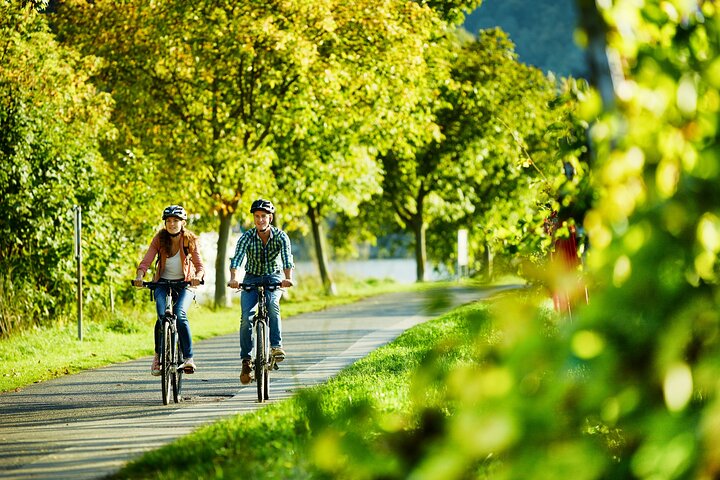 Cykel-picnic-bådtur fra til Bernkastel Kues Privat tur