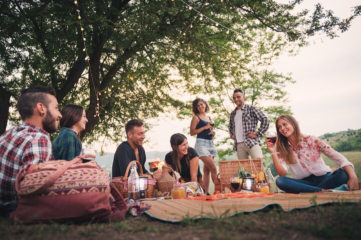 Cykel-picnic-bådtur fra til Bernkastel Kues Privat tur