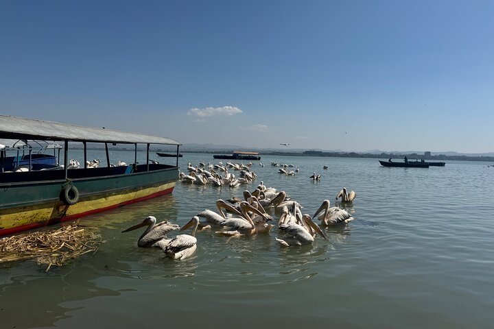 Dagstur Bahir Dar, Lake Tana og Blue Nile Falls Tours