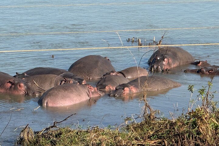Dagstur Bahir Dar, Lake Tana og Blue Nile Falls Tours