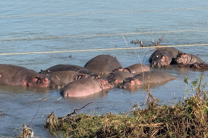 Dagstur Bahir Dar, Lake Tana og Blue Nile Falls Tours