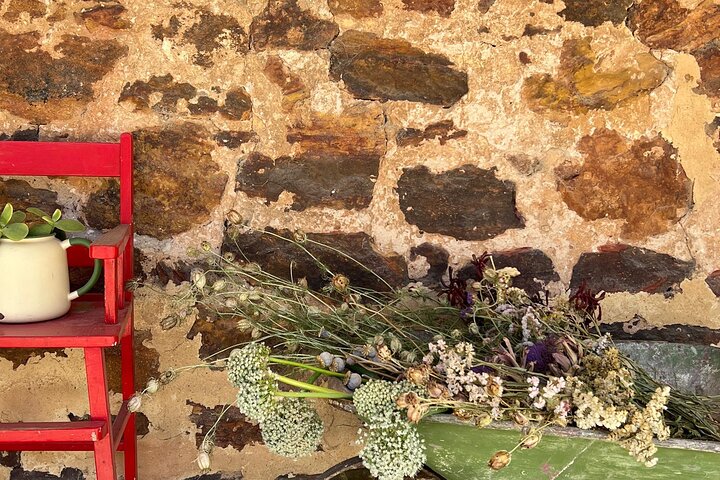 Opdag Barossa: 4 Vinprovninger, gourmet frokost og skjulte perler