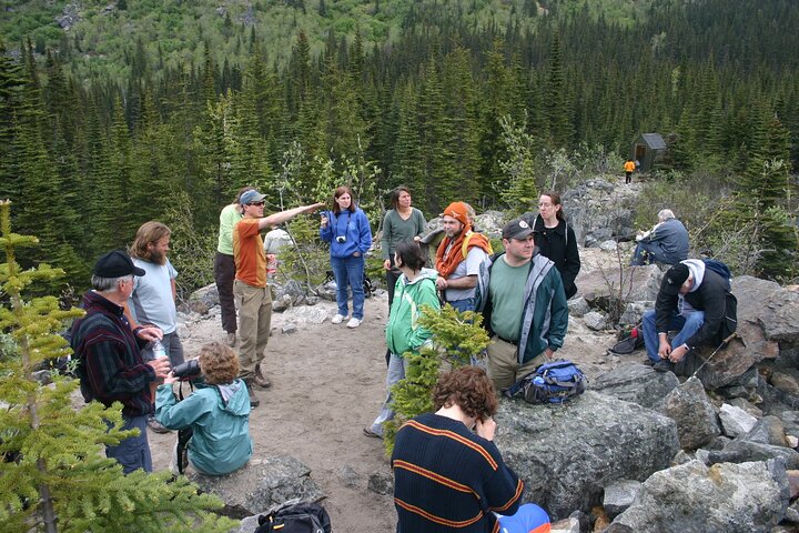 Les anmeldelser av Laughton Glacier Hike and White Pass Rail Adventure