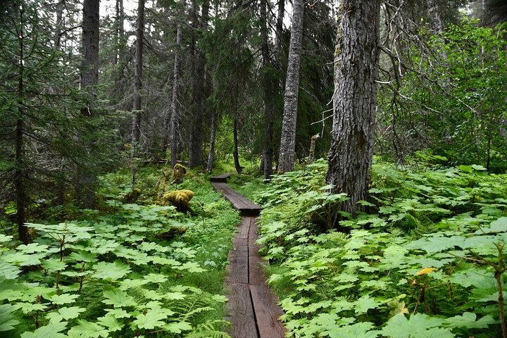 Les anmeldelser av Laughton Glacier Hike and White Pass Rail Adventure